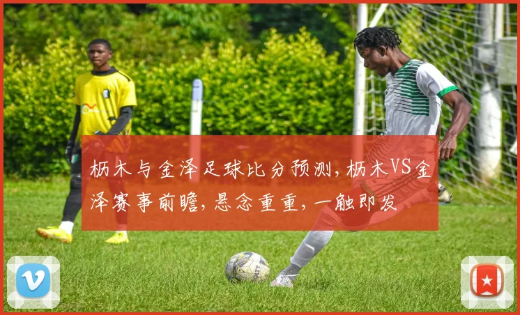枥木与金泽足球比分预测,枥木VS金泽赛事前瞻,悬念重重,一触即发